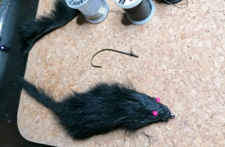 A large fly A large fly