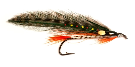 Brook Trout Brook Trout