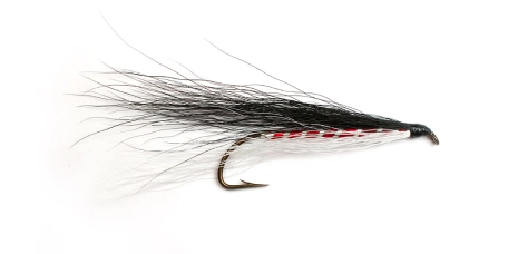 Ken Lockwood Ken Lockwood