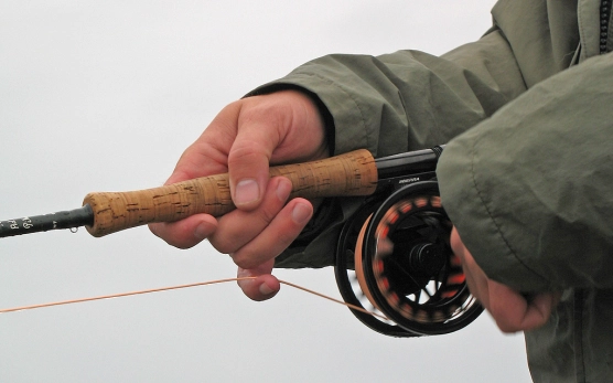 Reeling in Reeling in