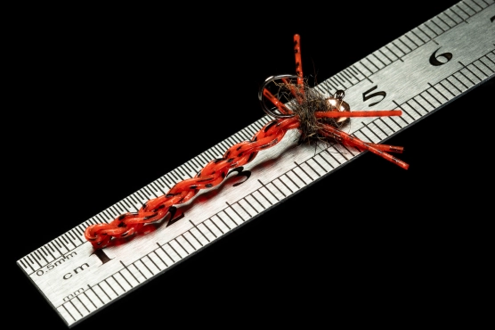 Grayling food Grayling food