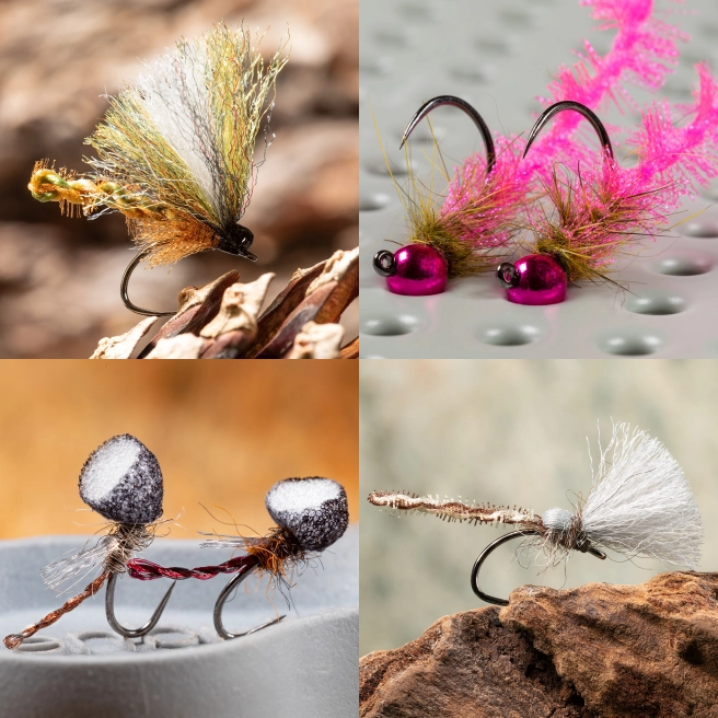 Furled bodies Furled bodies