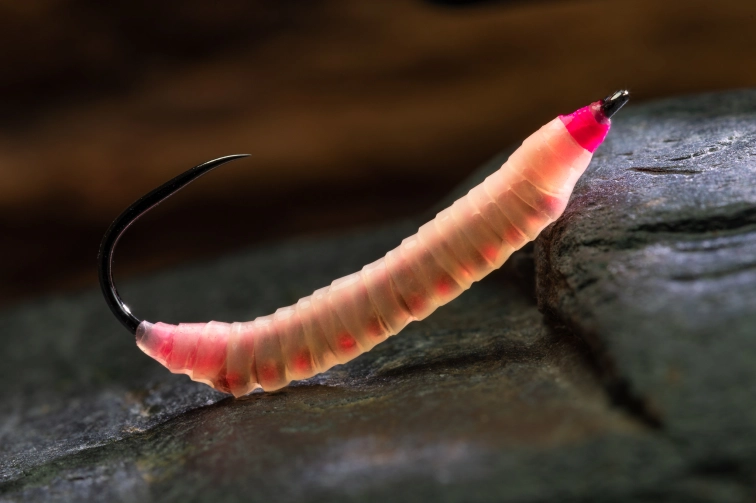 Upside-down Upside-down