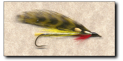 Jim Warner Special