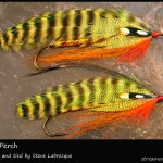 #34 Sebago Perch - Steve Labrecque