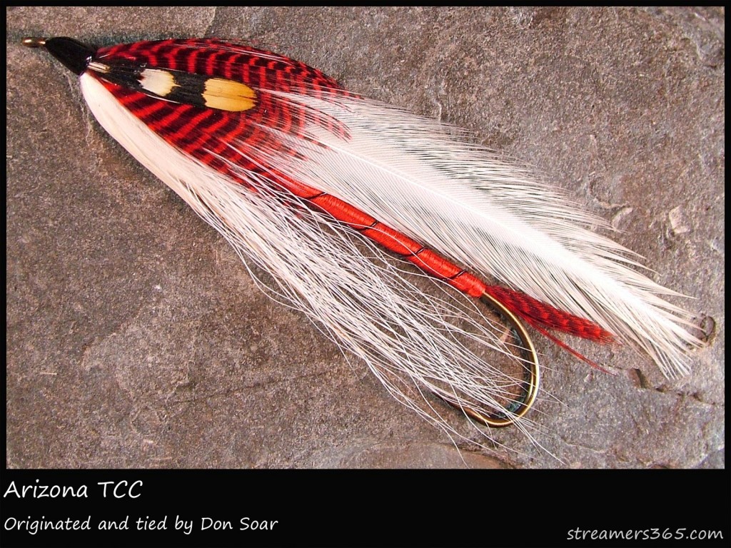 #134 Arizona - Team Colors Collection - Don Soar