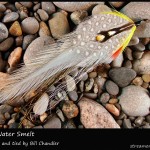 #153 Break Water Smelt - Bill Chandler