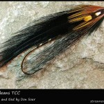 #248 New Orleans - Team Colors Collection - Don Soar