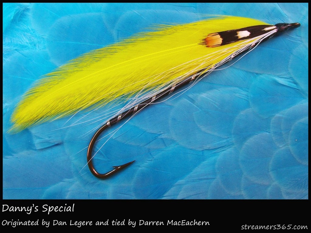 #249 Danny's Special - Darren MacEachern