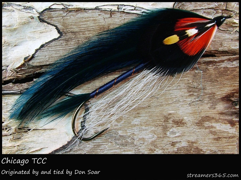 #305 Chicago - Team Colors Collection - Don Soar