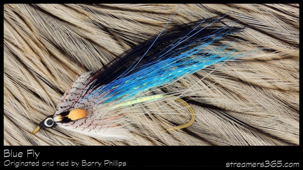 #27-2013 Blue Fly - Barry Phillips