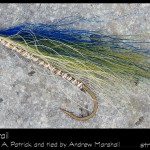 #56-2013 Herring Bucktail tied by Andrew Marshall