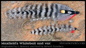 Maxfields Whitebait Matuka and streamer conversion by Robert Frandsen