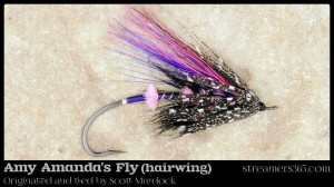 Amy Amanda's Fly - Hairwing by Scott Murdock