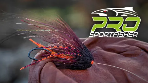 Video thumb for Tsunami Munker