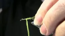 Video thumb for Jimbo's Can't Miss Damsel