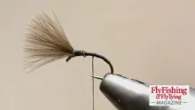 Video thumb for Yellow Owl