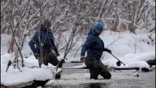 Video thumb for Kamchatka