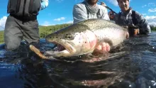 Video thumb for Pretorious' Zhupanova 2016