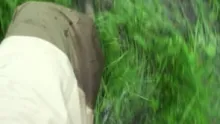 Video thumb for Ultimate Black bass fly fishing