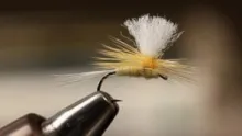 Video thumb for Sulphur Parachute