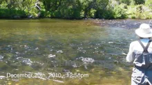 Video thumb for Sight Fishing Patagonia