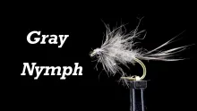 Video thumb for Gray Nymph