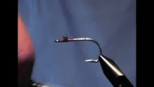 Video thumb for DNA Whistler