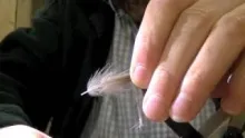 Video thumb for CDC Caddis trout fly