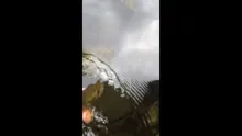 Video thumb for Fish for Tomorrow as well as for Today