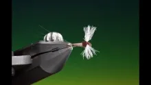 Video thumb for Ceanis/Trico Spinner