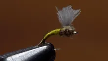 Video thumb for WD 40 Plus