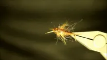 Video thumb for Angora Golden Simple Stone
