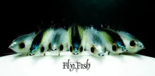 Video thumb for Craft Fur Brush Fly