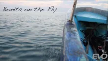Video thumb for Troncones Mexico  - Bonita on the Fly