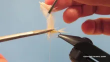 Video thumb for Magic Fly (Pale Watery wingless wet variant)