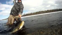 Video thumb for Early season Flyfishing northern Sweden