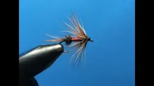 Video thumb for Royal flymph