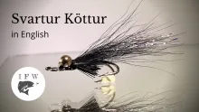 Video thumb for Black Cat