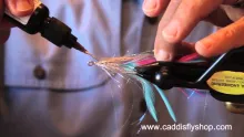 Video thumb for Saltwater Coho Salmon Deceiver