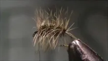 Video thumb for Griffiths Gnat
