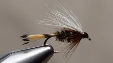 Video thumb for Western Coachman