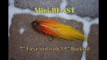 Video thumb for Mini-Beast