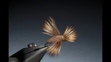 Video thumb for The Screaming Banshee