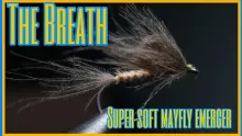 Video thumb for The Breath