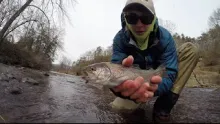 Video thumb for Chasin' the Dream