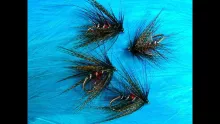 Video thumb for Bibio Cloaked Dabbler