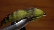 Video thumb for Conehead Bunny Leech