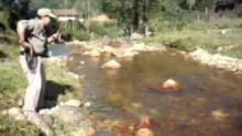 Video thumb for Brazilian Trout (bamboo rod)