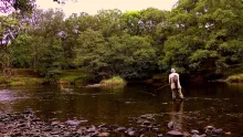 Video thumb for 8ft 5wt